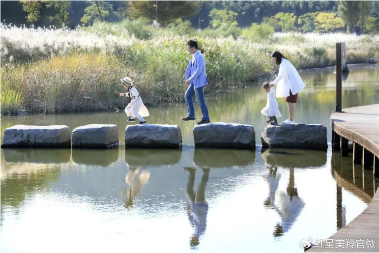 1721886516306386.png 1721886516306386.png