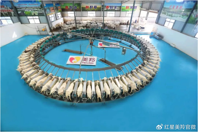 1721886625432985.png image.png