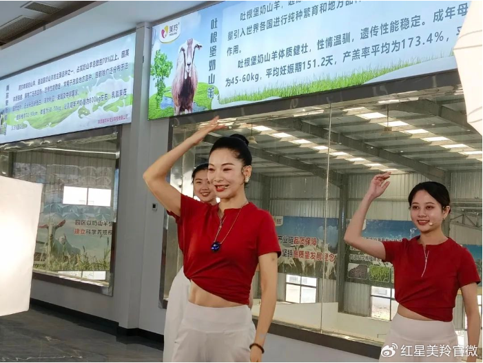 1727054411142047.png image.png