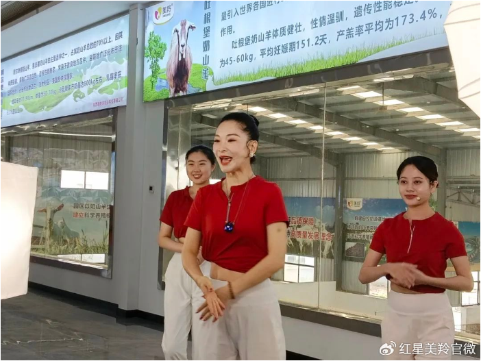 1727054424416547.png image.png