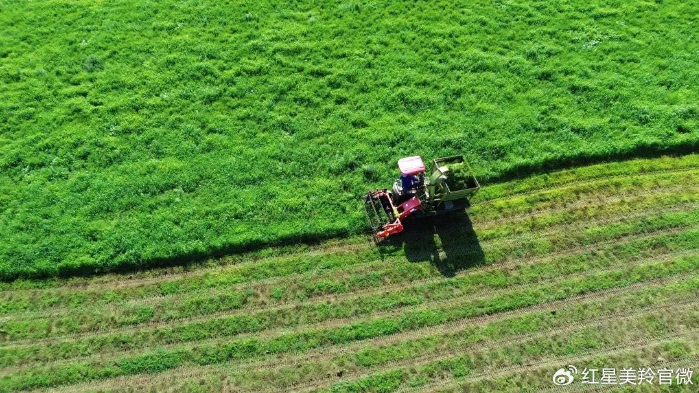 1727054467115419.png image.png