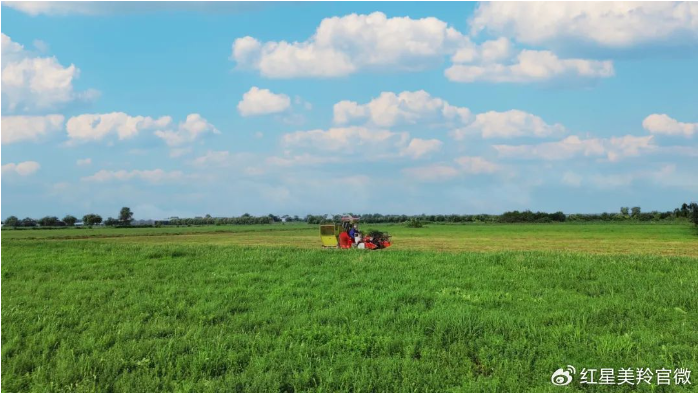 1727243052114326.jpg 1727242886290.jpg