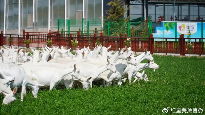 1727243059359014.jpg 1727242901195.jpg