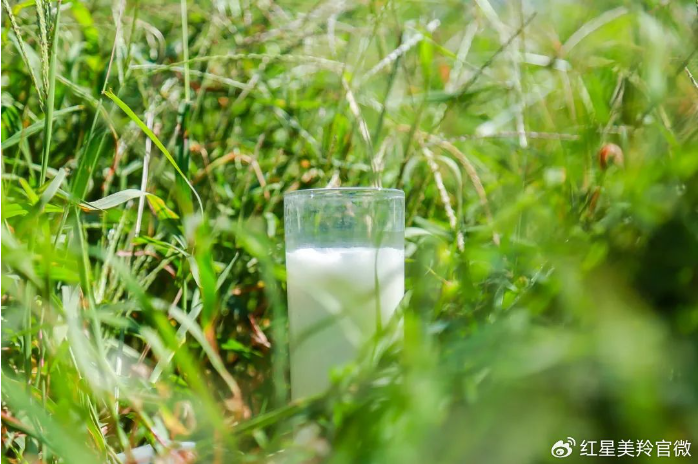 1727420043137357.png image.png