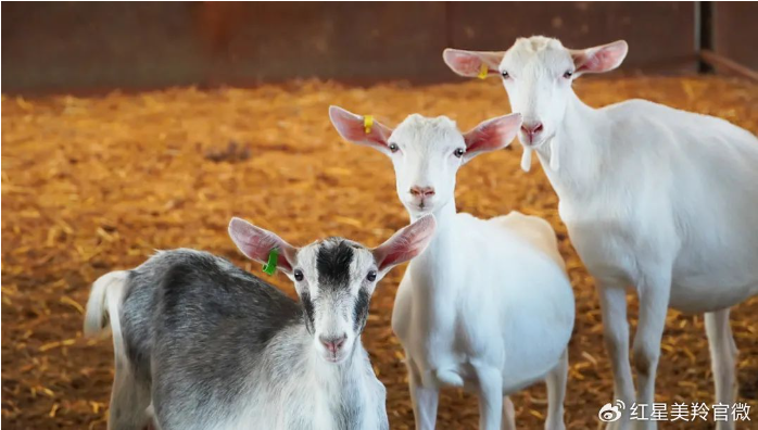 1727420078711788.png image.png