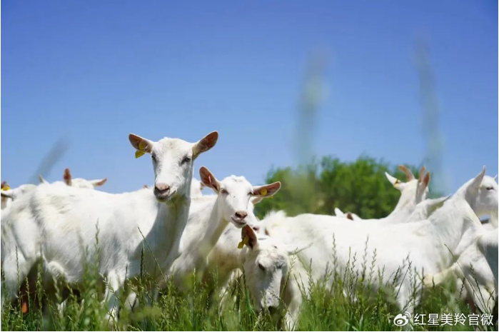 1727420096105535.png image.png